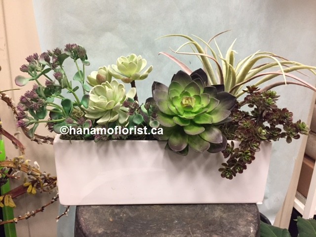 ART313 Artificial Assorted Succulnt Arrangemnt in Rectangle Pot